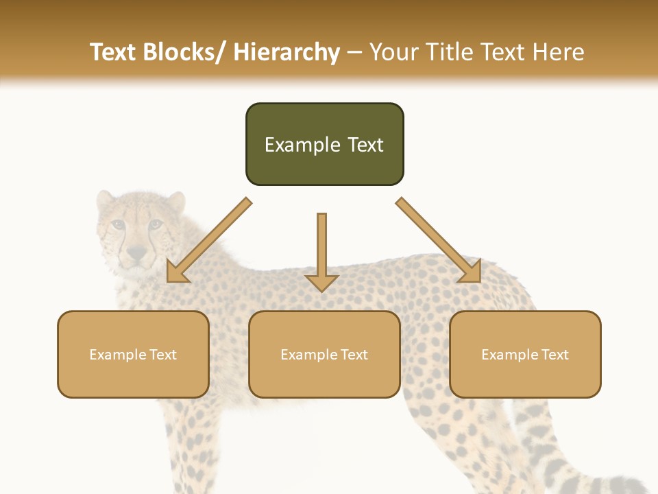 Standing Spotted Male PowerPoint Template
