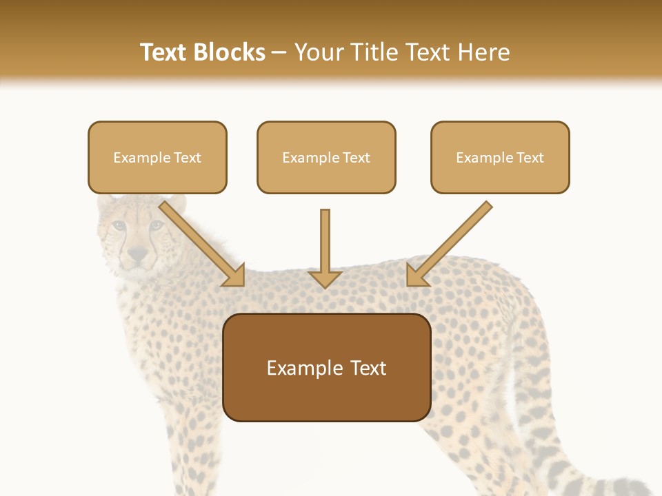 Standing Spotted Male PowerPoint Template