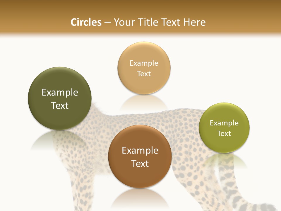 Standing Spotted Male PowerPoint Template