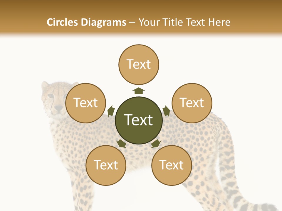 Standing Spotted Male PowerPoint Template