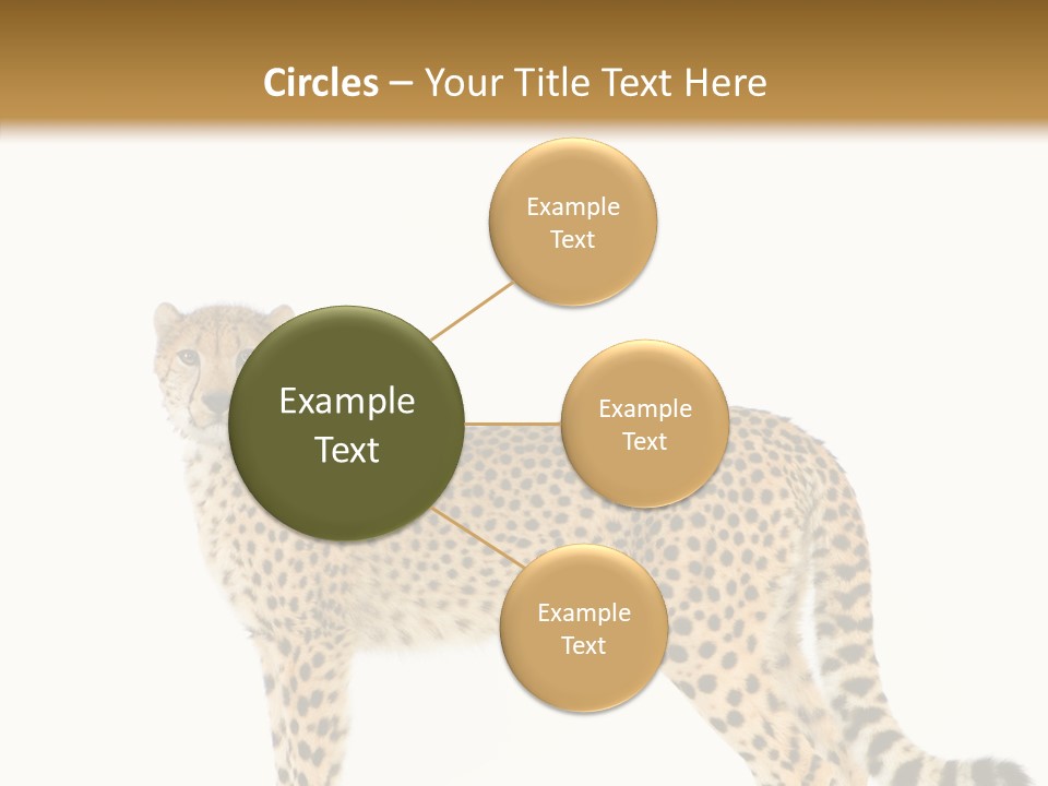 Standing Spotted Male PowerPoint Template