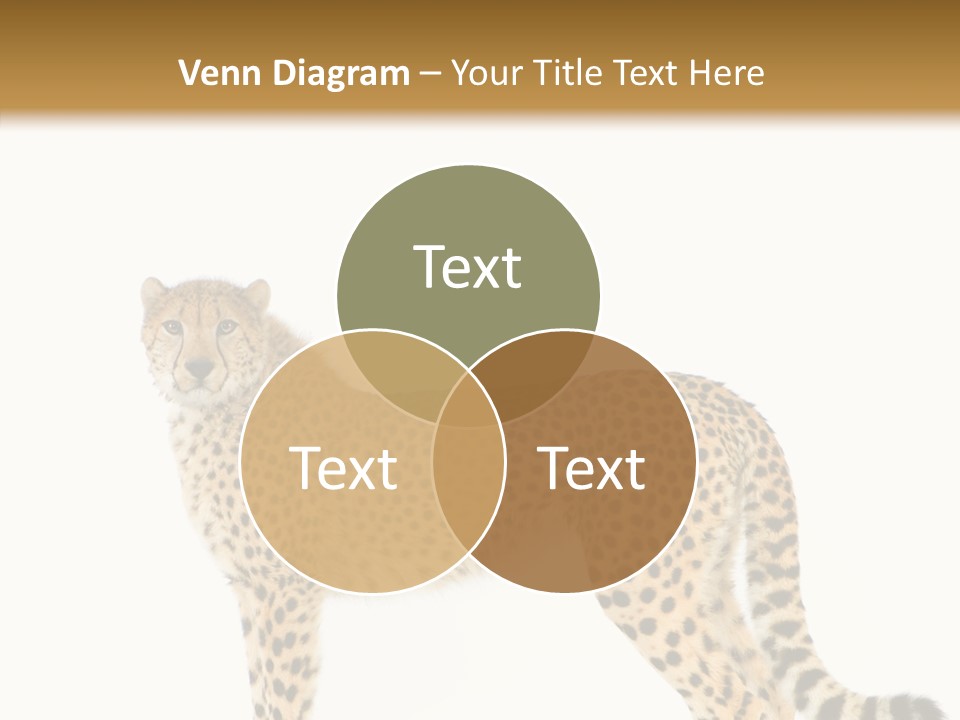 Standing Spotted Male PowerPoint Template