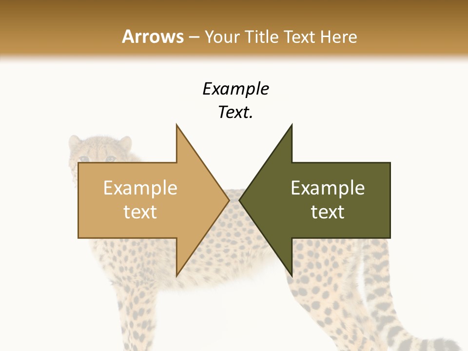 Standing Spotted Male PowerPoint Template