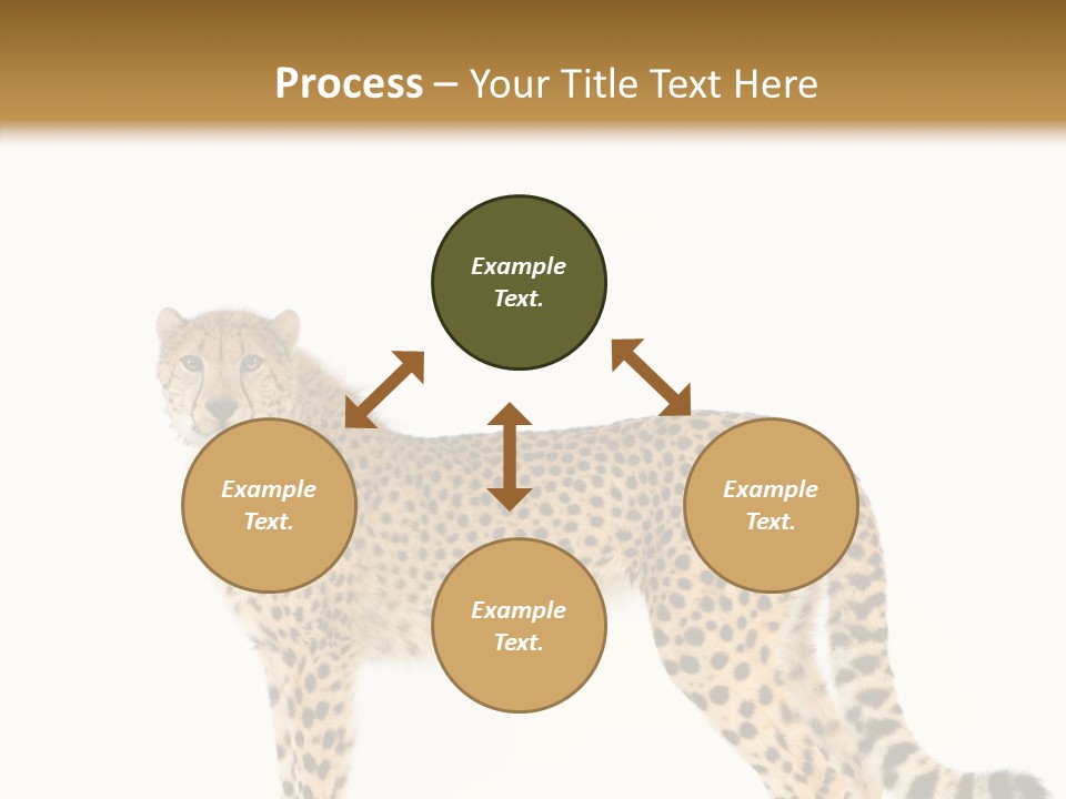Standing Spotted Male PowerPoint Template