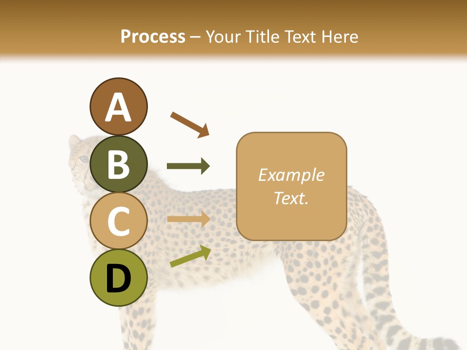 Standing Spotted Male PowerPoint Template