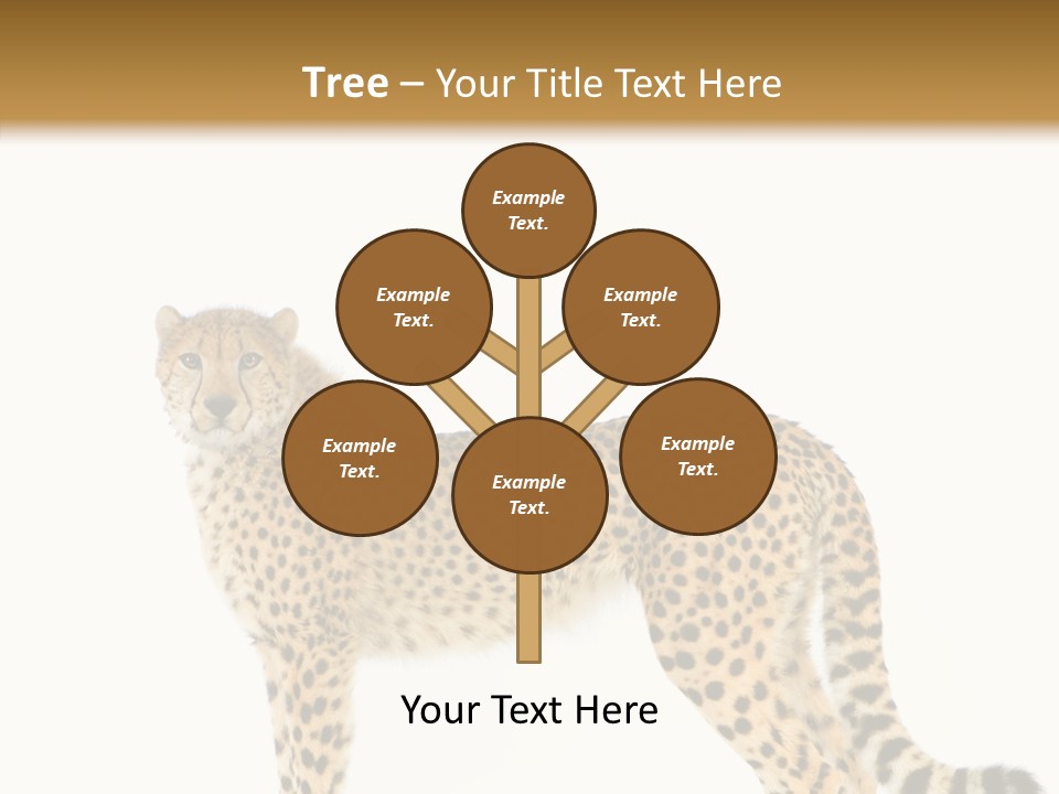 Standing Spotted Male PowerPoint Template