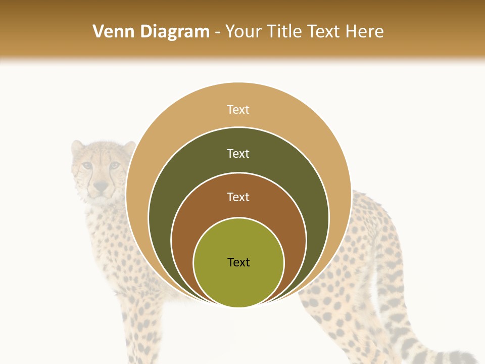 Standing Spotted Male PowerPoint Template