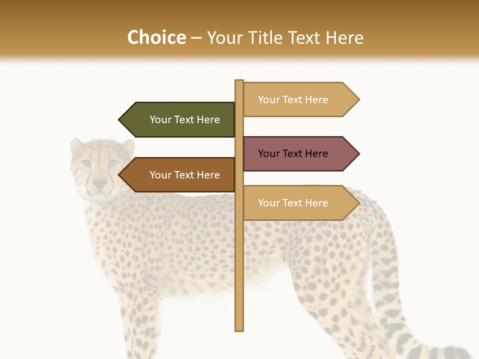 Standing Spotted Male PowerPoint Template