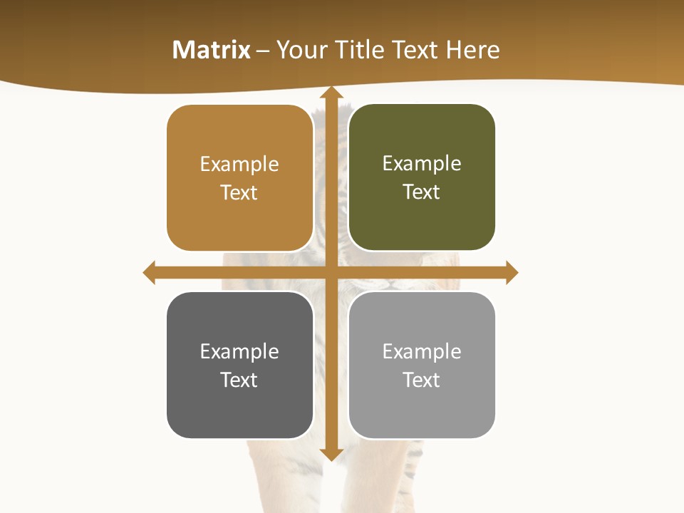 Cat Studio Undomesticated PowerPoint Template