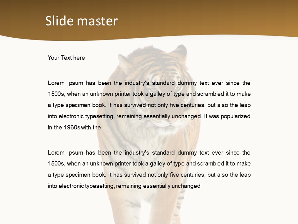 Cat Studio Undomesticated PowerPoint Template