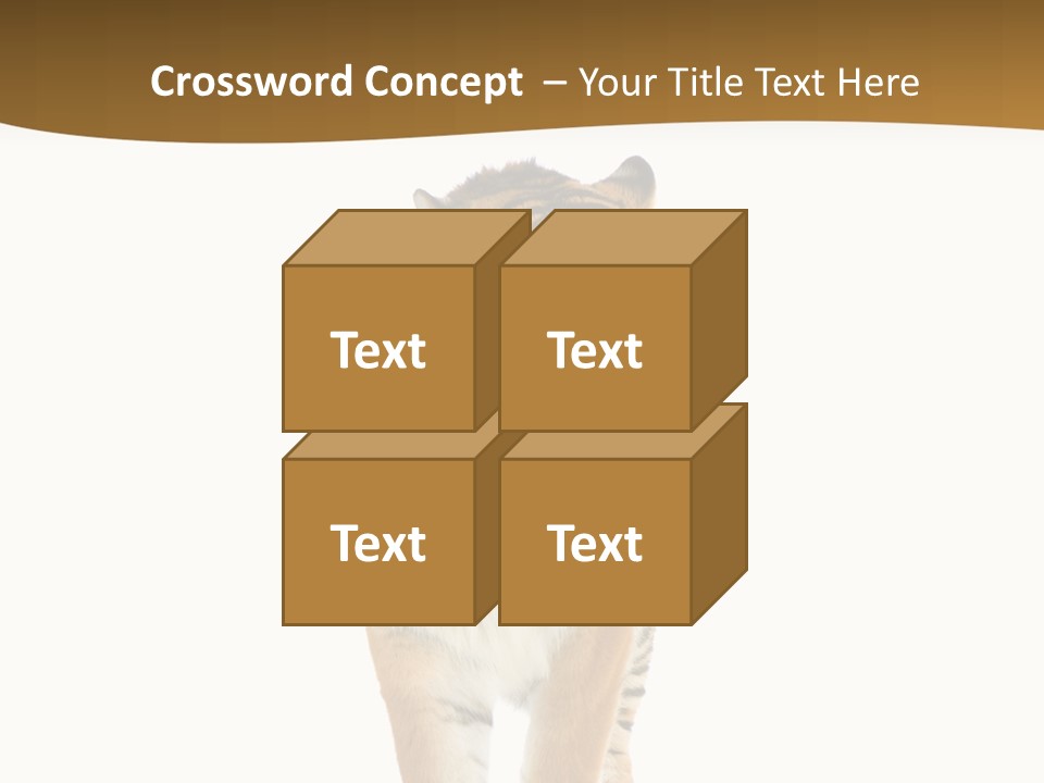Cat Studio Undomesticated PowerPoint Template