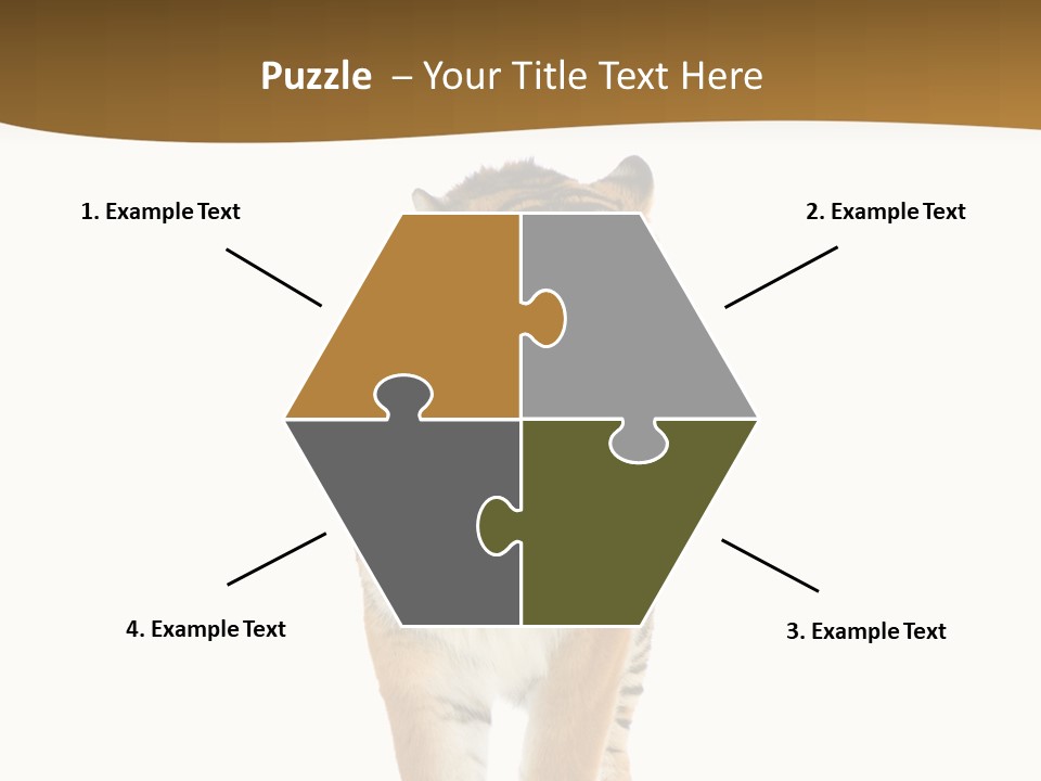 Cat Studio Undomesticated PowerPoint Template