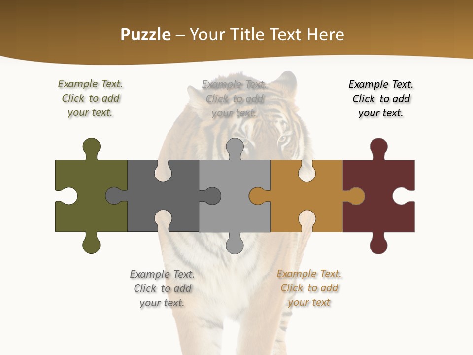 Cat Studio Undomesticated PowerPoint Template