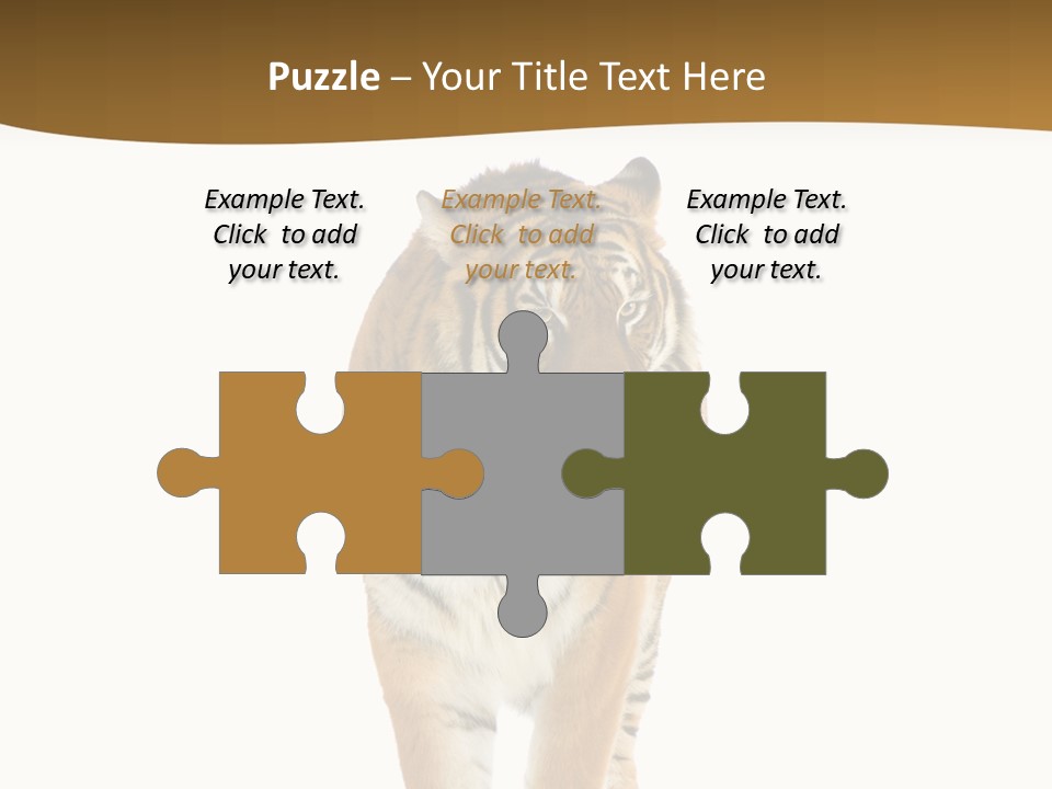 Cat Studio Undomesticated PowerPoint Template