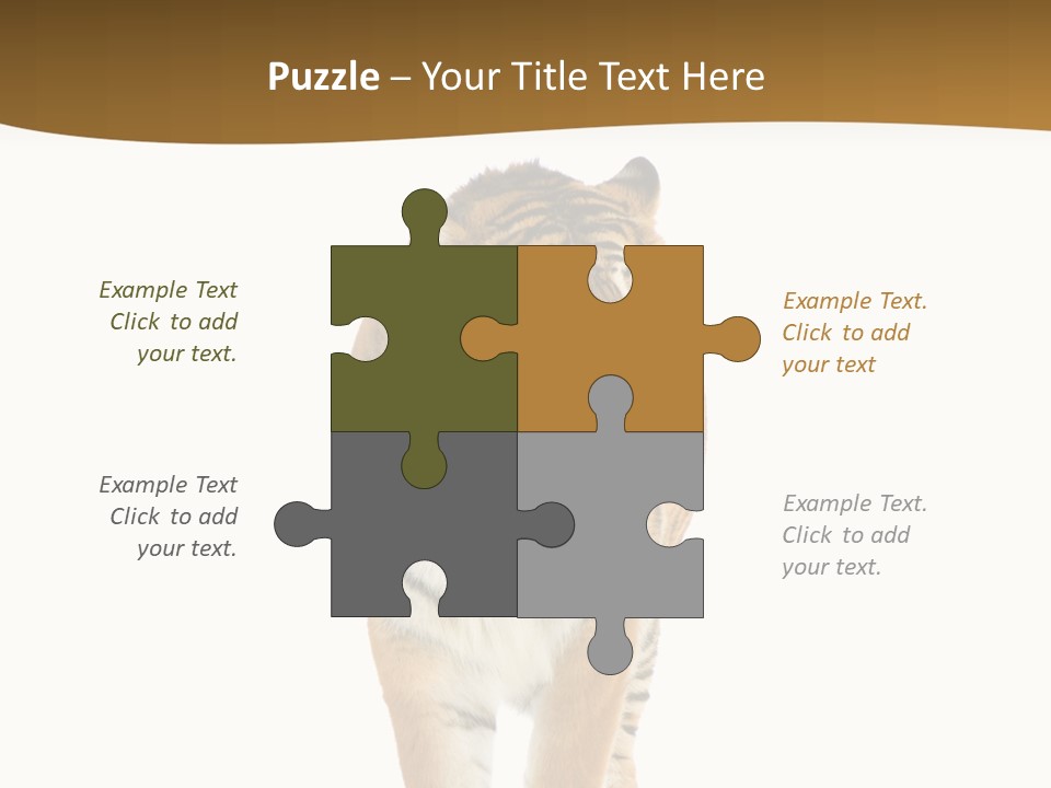 Cat Studio Undomesticated PowerPoint Template