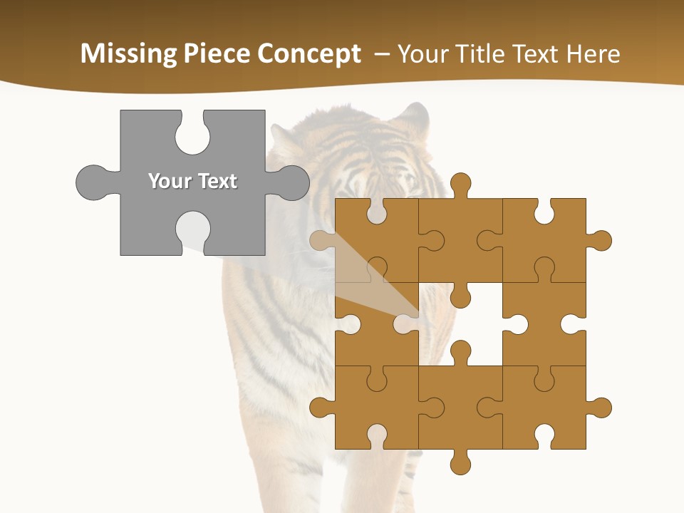 Cat Studio Undomesticated PowerPoint Template