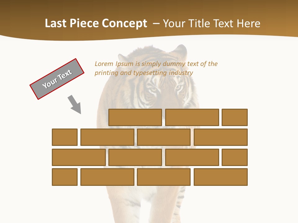 Cat Studio Undomesticated PowerPoint Template