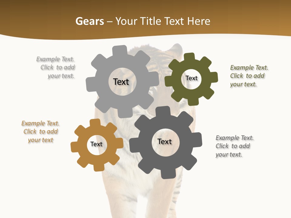 Cat Studio Undomesticated PowerPoint Template