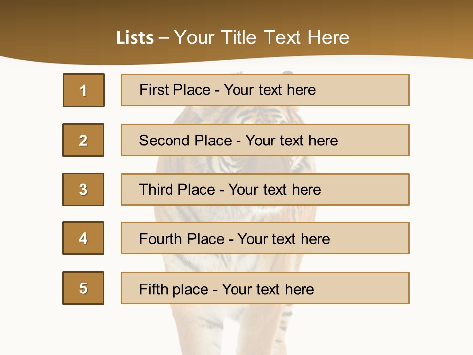 Cat Studio Undomesticated PowerPoint Template