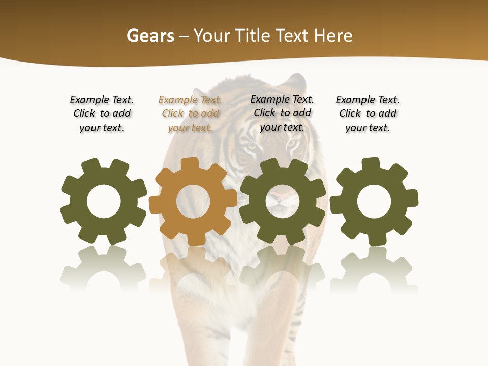 Cat Studio Undomesticated PowerPoint Template