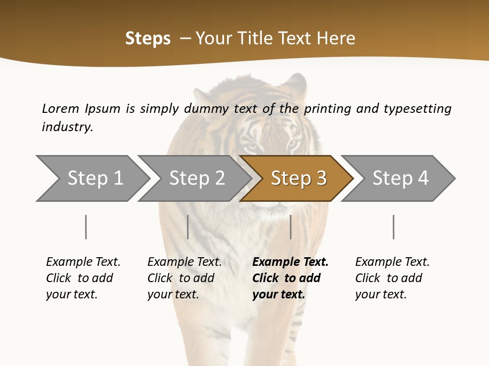 Cat Studio Undomesticated PowerPoint Template