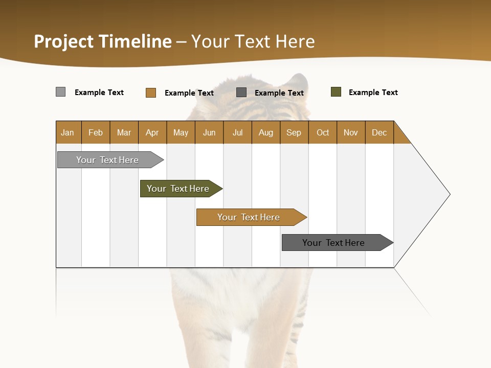 Cat Studio Undomesticated PowerPoint Template
