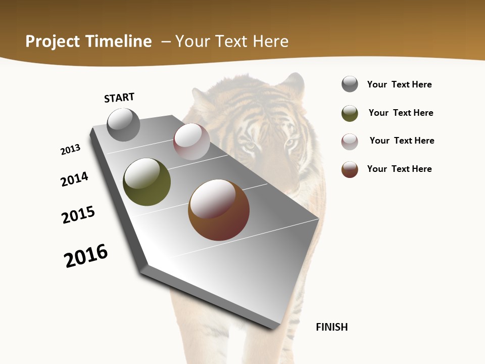 Cat Studio Undomesticated PowerPoint Template