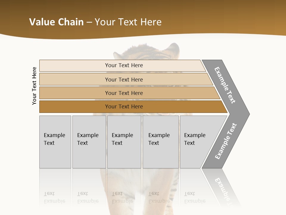 Cat Studio Undomesticated PowerPoint Template