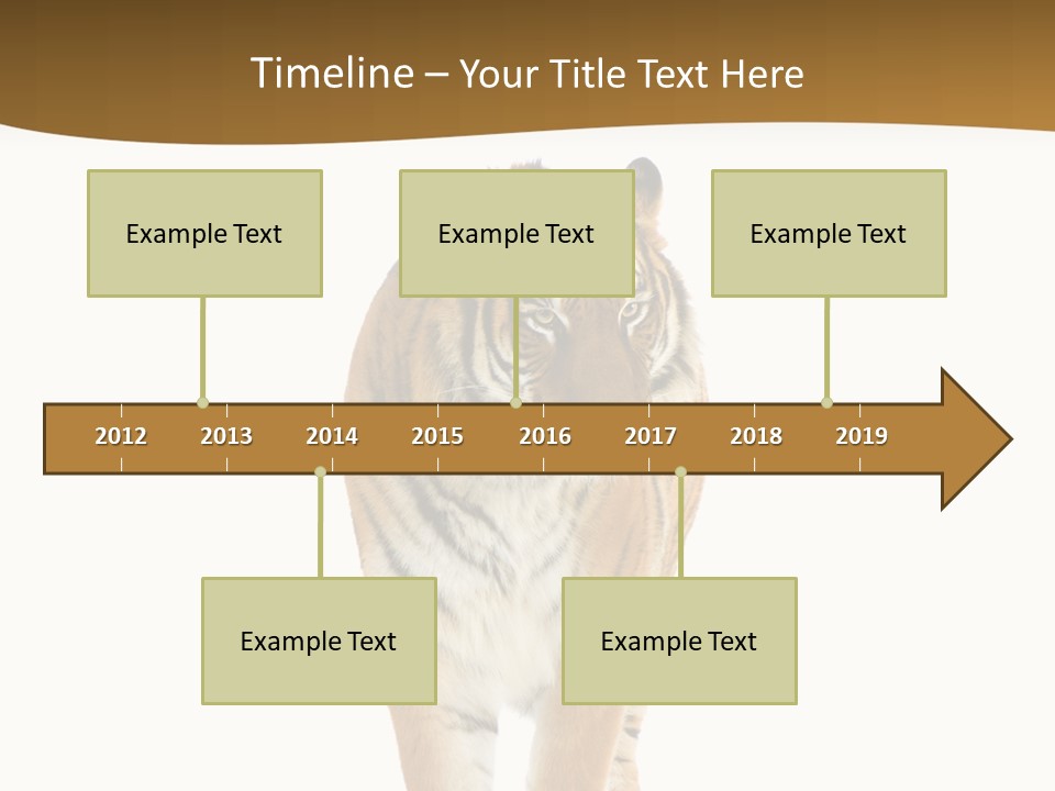 Cat Studio Undomesticated PowerPoint Template