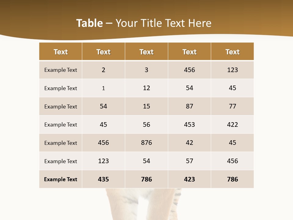 Cat Studio Undomesticated PowerPoint Template