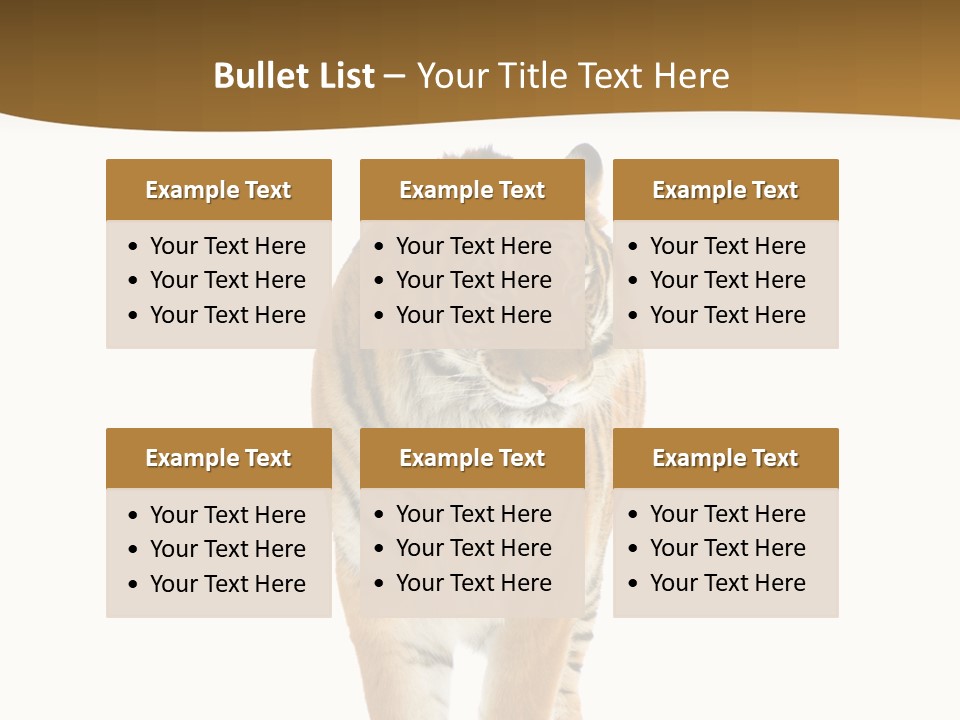 Cat Studio Undomesticated PowerPoint Template