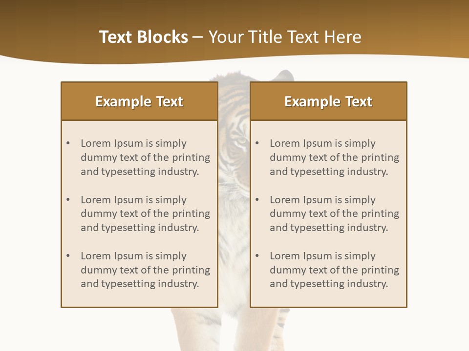 Cat Studio Undomesticated PowerPoint Template