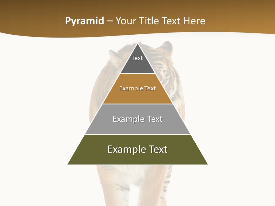 Cat Studio Undomesticated PowerPoint Template