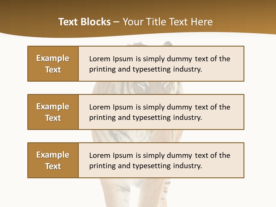 Cat Studio Undomesticated PowerPoint Template