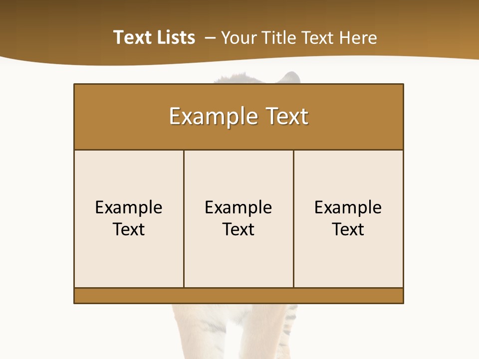 Cat Studio Undomesticated PowerPoint Template