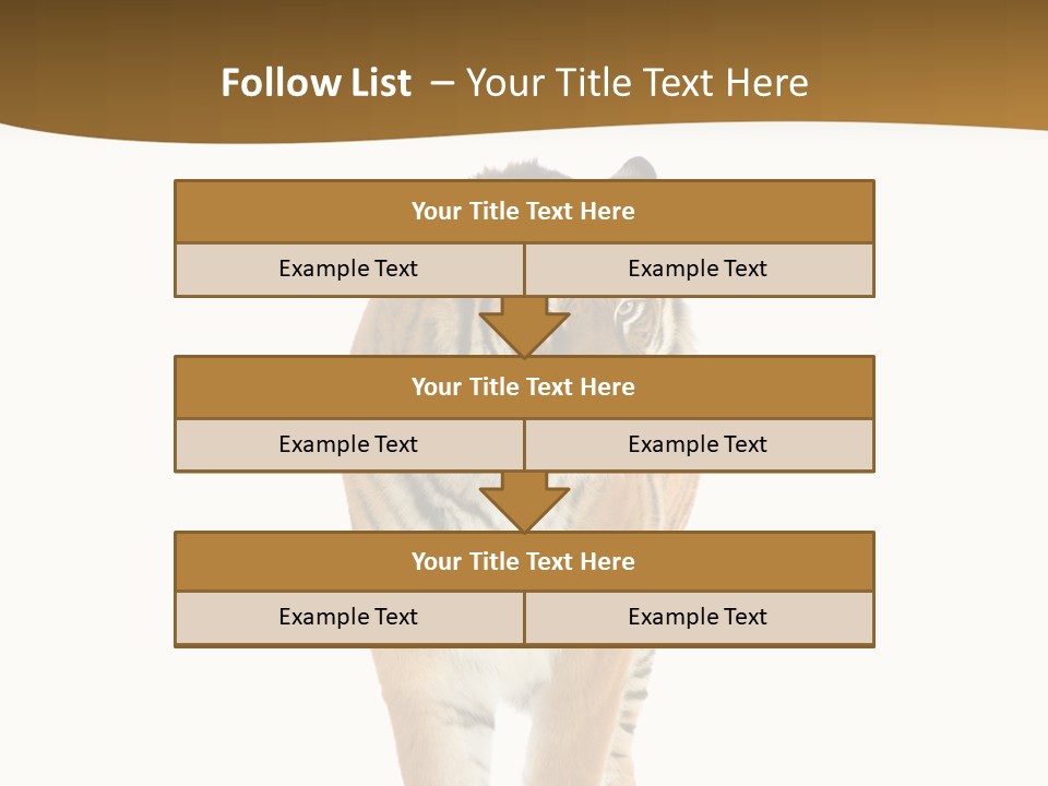 Cat Studio Undomesticated PowerPoint Template