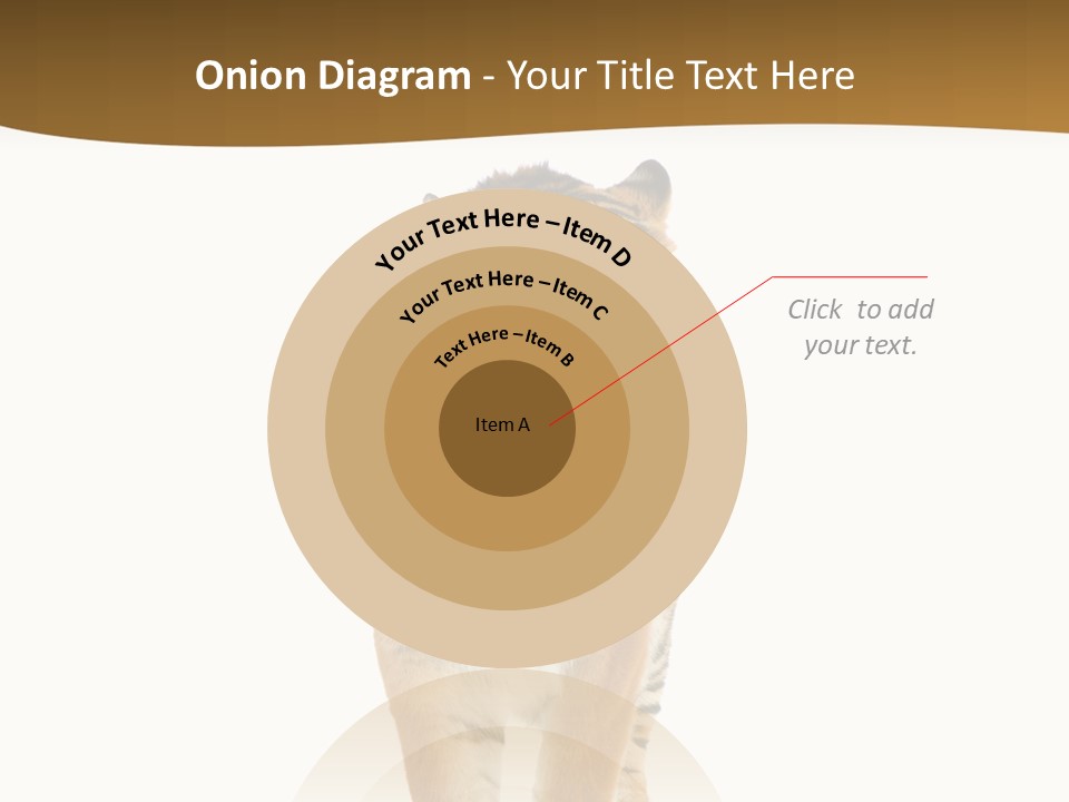 Cat Studio Undomesticated PowerPoint Template