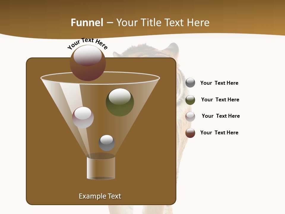 Cat Studio Undomesticated PowerPoint Template