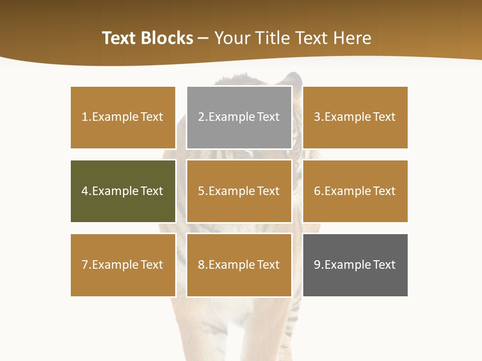 Cat Studio Undomesticated PowerPoint Template