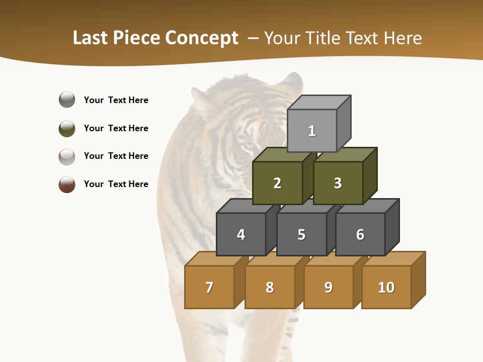 Cat Studio Undomesticated PowerPoint Template