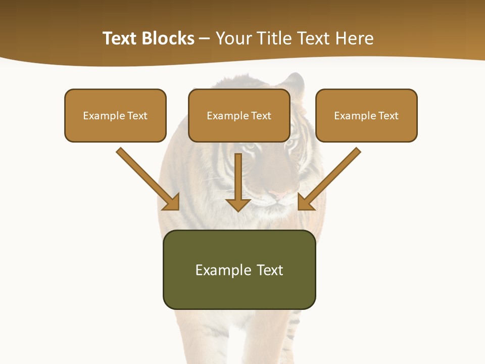 Cat Studio Undomesticated PowerPoint Template