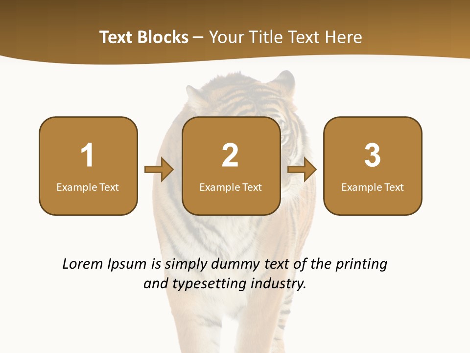 Cat Studio Undomesticated PowerPoint Template