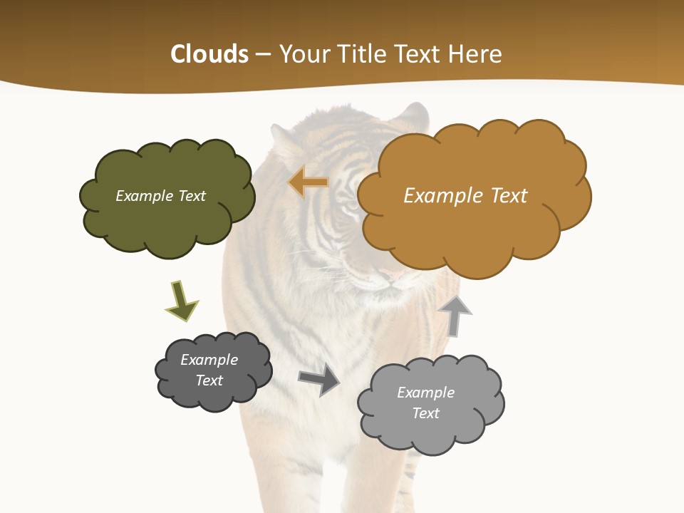 Cat Studio Undomesticated PowerPoint Template