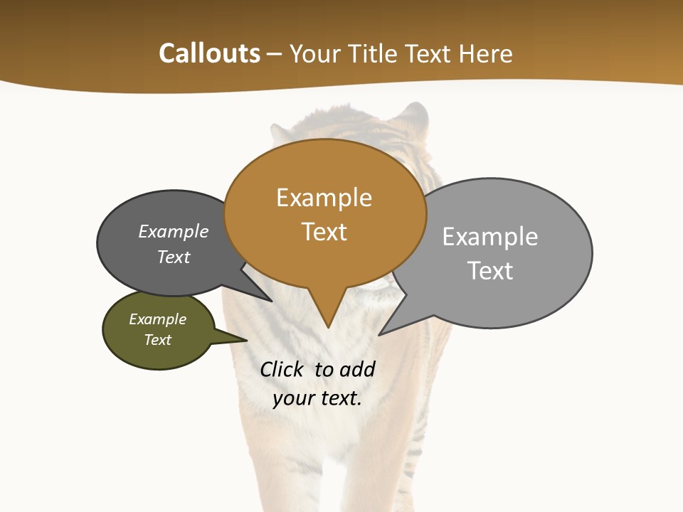 Cat Studio Undomesticated PowerPoint Template