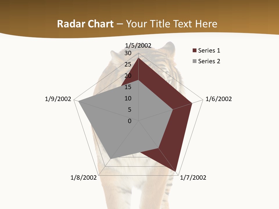 Cat Studio Undomesticated PowerPoint Template