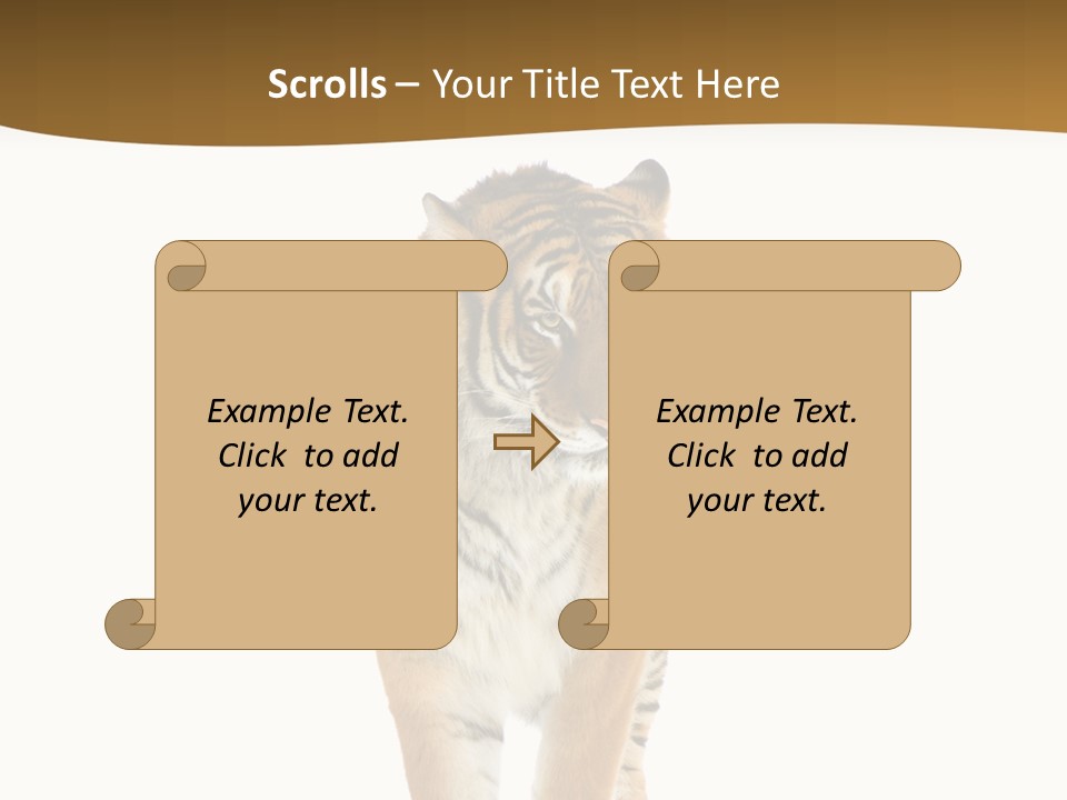 Cat Studio Undomesticated PowerPoint Template