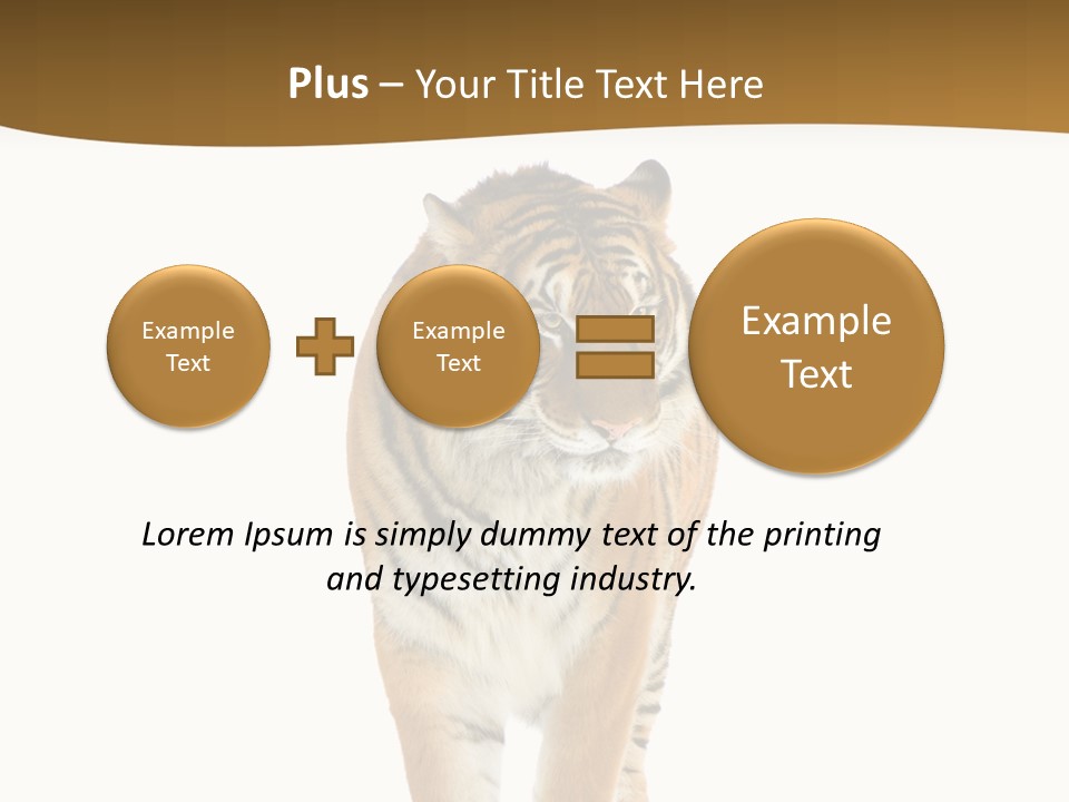 Cat Studio Undomesticated PowerPoint Template