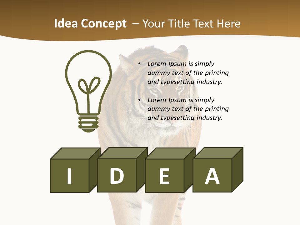 Cat Studio Undomesticated PowerPoint Template