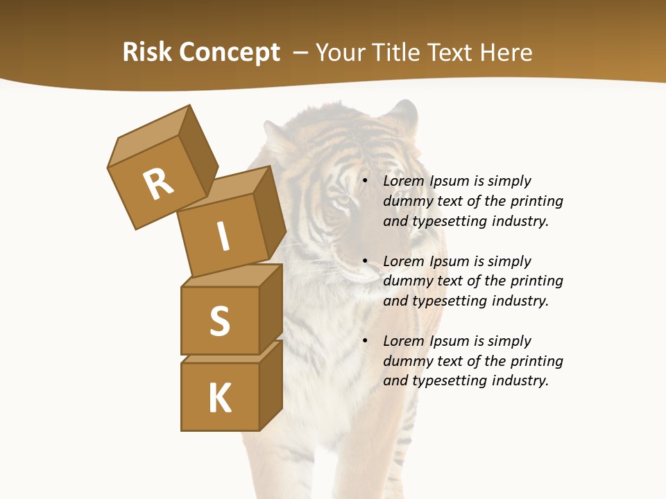 Cat Studio Undomesticated PowerPoint Template