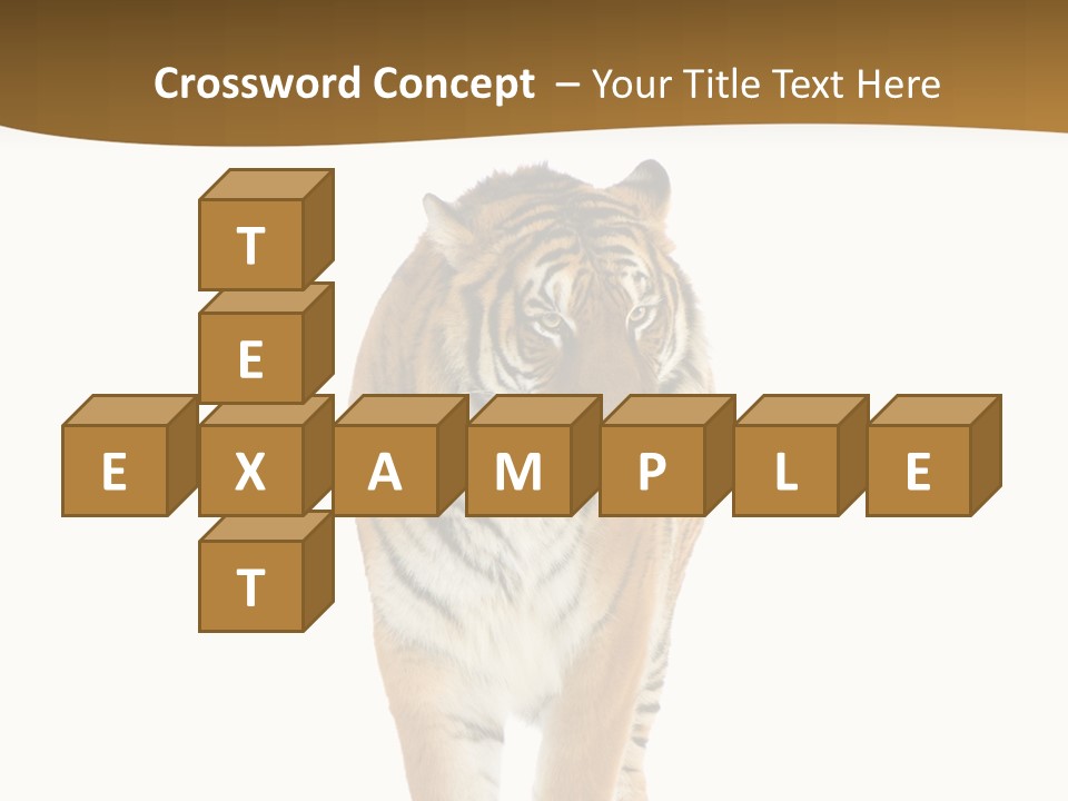 Cat Studio Undomesticated PowerPoint Template